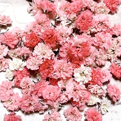 かすみ草 ドライフラワー 3種類MIXセット／ハンドメイド花材 レジンアクセサリー などに 2枚目の画像