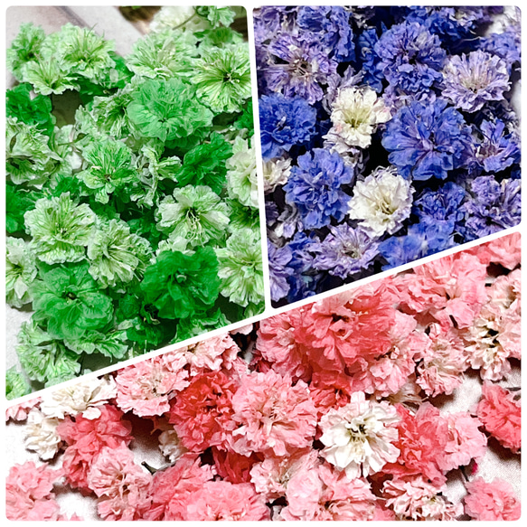 かすみ草 ドライフラワー 3種類MIXセット／ハンドメイド花材 レジンアクセサリー などに 1枚目の画像