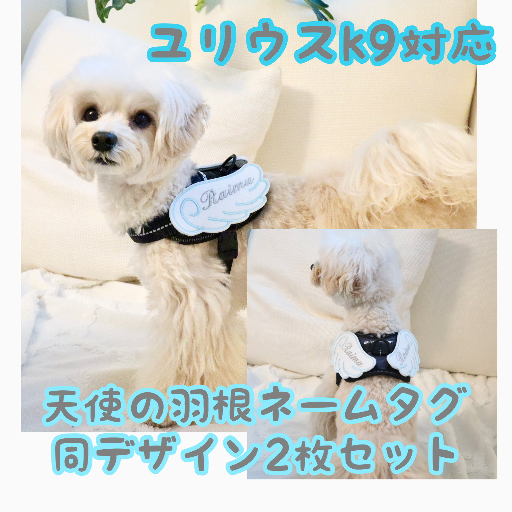 【代引き不可】 ユリウスk9☆天使の羽根☆ネームタグ☆ネームラベル☆ハーネス用 首輪・ハーネス・リード