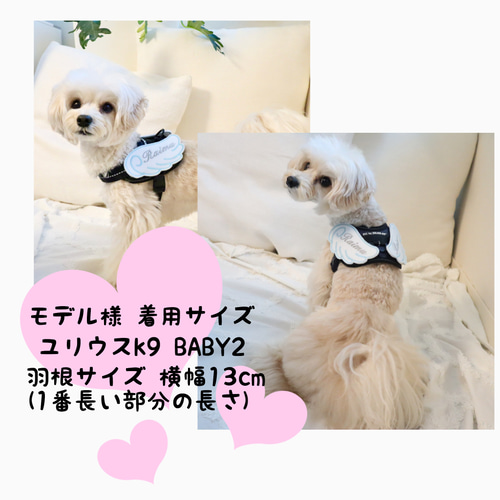 専用ページ☆ユリウスk9☆ネームラベル☆ネームタグ