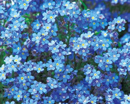 cfc0e15bdc01d150aae1fe26a09fc9