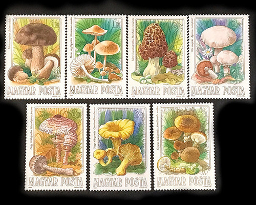 きのこ ハンガリー 1984年 外国切手7種 未使用【キノコ 古切手