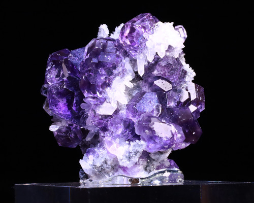 8bc37736cca70283e5c9e6041dd0ca