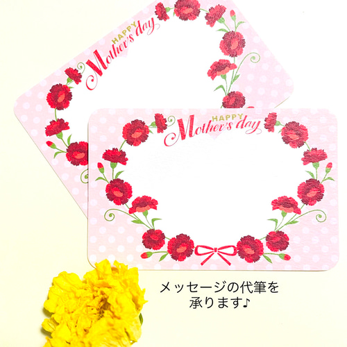 すぐ届く母の日2024】ユーカリとニュアンスカラースターチスのドライ