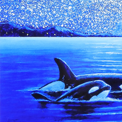 A4アートプリント『オルカ親子』高光沢紙/海/宇宙/流れ星/額無し/動物 4枚目の画像