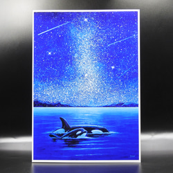 A4アートプリント『オルカ親子』高光沢紙/海/宇宙/流れ星/額無し/動物 2枚目の画像