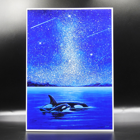 A4アートプリント『オルカ親子』高光沢紙/海/宇宙/流れ星/額無し/動物 2枚目の画像