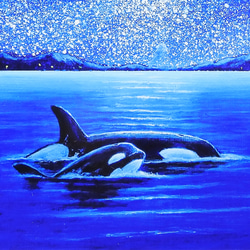 A4アートプリント『オルカ親子』高光沢紙/海/宇宙/流れ星/額無し/動物 3枚目の画像
