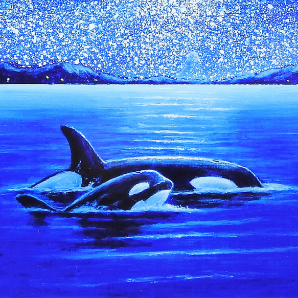 A4アートプリント『オルカ親子』高光沢紙/海/宇宙/流れ星/額無し/動物 3枚目の画像
