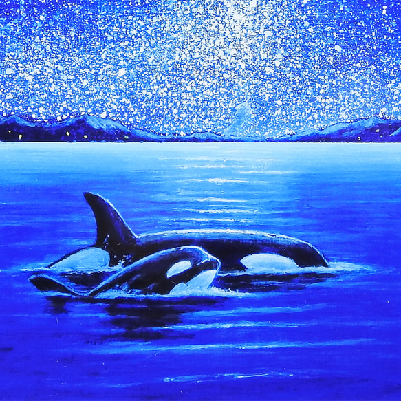 A4アートプリント『オルカ親子』高光沢紙/海/宇宙/流れ星/額無し/動物 1枚目の画像