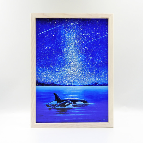 A4アートプリント『オルカ親子』高光沢紙/海/宇宙/流れ星/額無し/動物 8枚目の画像