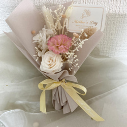 ミモザ 銀葉アカシア 【今週末出荷予定分】生花 スワッグ 切花 無農薬