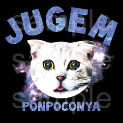 おもしろねこ黒Tシャツ「JUGEM CATS」 2枚目の画像