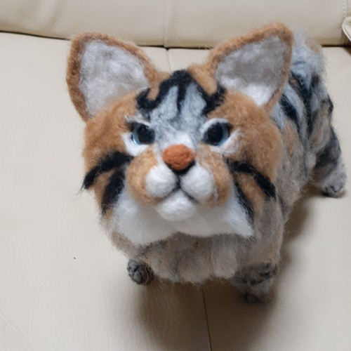 リアル 羊毛サイベリアン猫 猫ちゃん オーダー受け付けてます