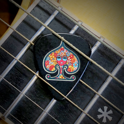 カスタムギブソンギターピック（Funky Flowers) 2枚目の画像