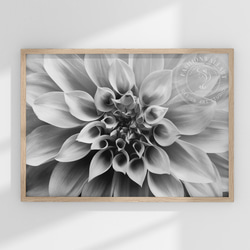 c861f2f4b41be5e65b2f0b0aaddd36