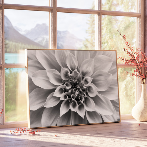 アートポスター モノクロ ダリア 花 アート 白黒 北欧 ボタニカル