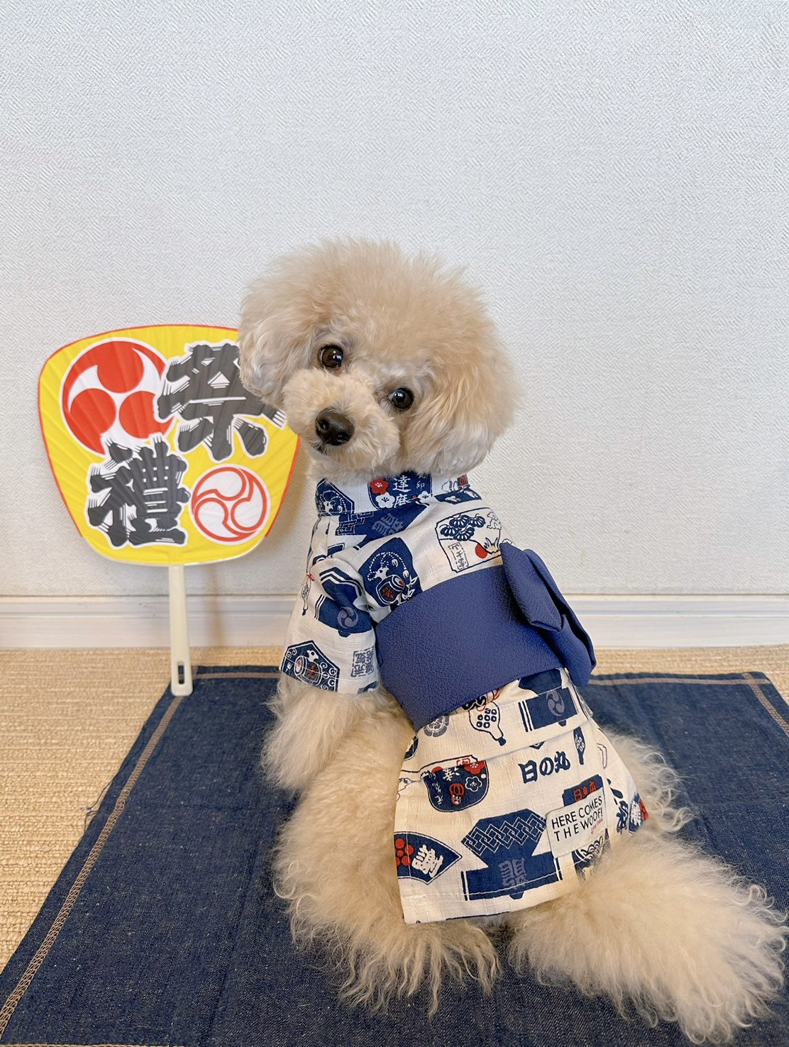 moko様の専用 ハンドメイド 犬服 フレブル 小型犬 （as know as