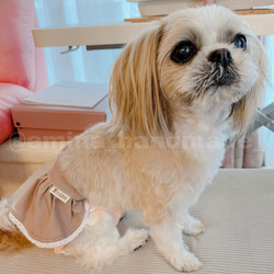 フレアスカート ダスティブラウン 犬スカート ペットスカート 犬服 サニタリーパンツ マナーウェア オムツ隠し 9枚目の画像