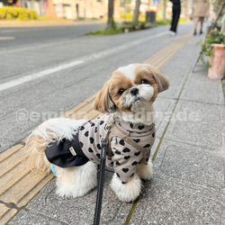 フレアスカート ダスティブラウン 犬スカート ペットスカート 犬服 サニタリーパンツ マナーウェア オムツ隠し 11枚目の画像