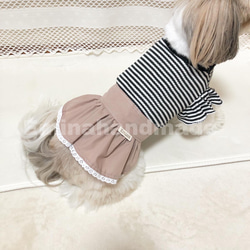 フレアスカート ダスティブラウン 犬スカート ペットスカート 犬服 サニタリーパンツ マナーウェア オムツ隠し 8枚目の画像