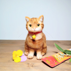 ✿羊毛フェルト✿mahi様✿茶トラ猫ちゃん✿秋ver✿どんぐり隊✿みのむしくん✿ cc31ca0dce8f525f1cd8c0850a5312