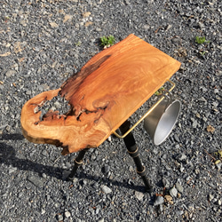 a51a50e0103f9a798a565008c66b77