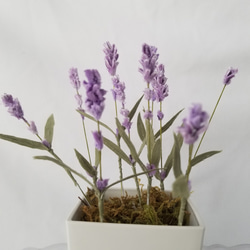 手染め　花タペストリー 手染め麻タペストリー「紫白鉄仙」 [京都洛柿庵オンラインショップ]