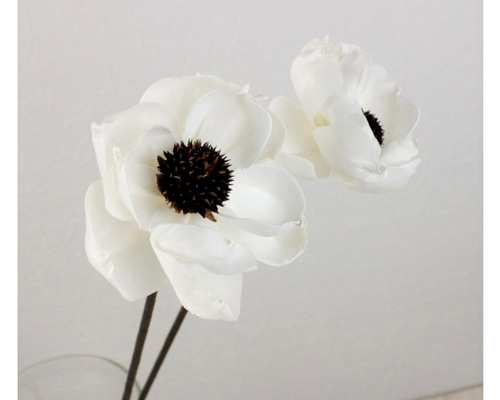 70e97a1ea61d15e00e04a7cc0b0112