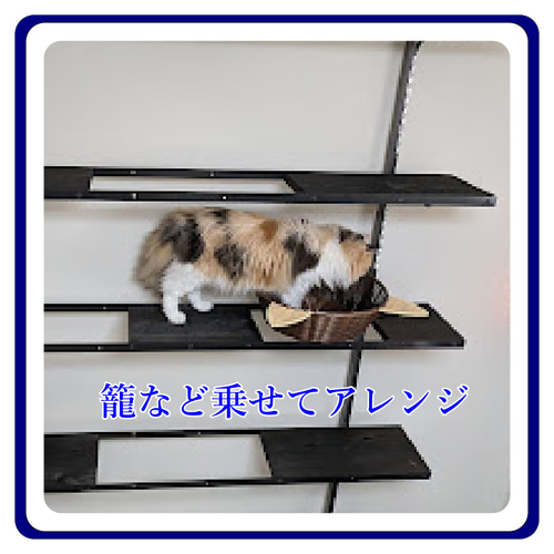 キャットタワー キャットウオーク 猫カフェ アイアン家具 壁面ラック