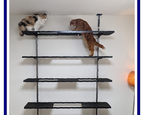 4d23ff3b81009cae162e98c3d90b2d