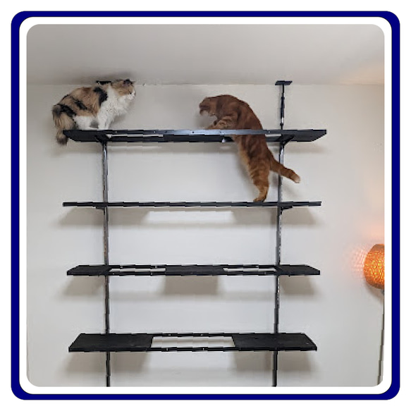 キャットタワー キャットウオーク 猫カフェ アイアン家具 壁面ラック