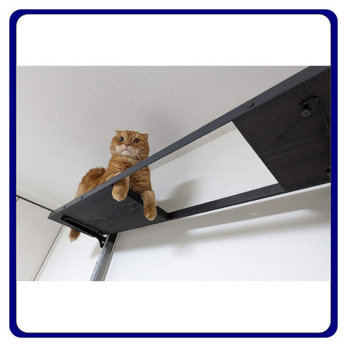 キャットタワー キャットウオーク 猫カフェ アイアン家具 壁面ラック