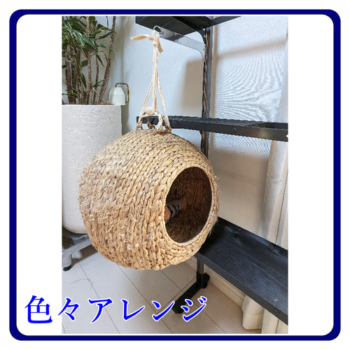 キャットタワー キャットウオーク 猫カフェ アイアン家具 壁面ラック
