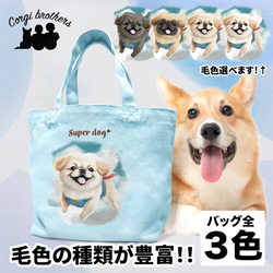 【 ヒーロー ペキニーズ 】 ミニキャンバス トートバッグ　犬　ペット　うちの子　プレゼント　母の日 1枚目の画像