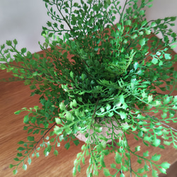 フェイクグリーンの鉢植え(アジアンタム) ／ストーンポット  人工観葉植物 4枚目の画像