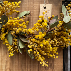 春まちリース♪ mimosa wreath ドライフラワー 母の日 母の日ギフト 母の日のプレゼント 花  お祝い 6枚目の画像