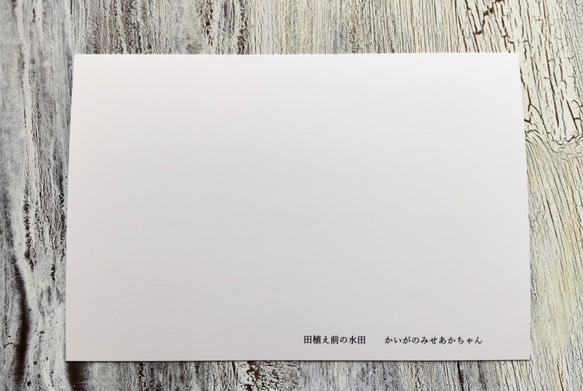 メッセージカード・10枚「田植え前の水田」A6サイズ（葉書サイズ）・OPP袋入り/送料無料・初期モデル 2枚目の画像