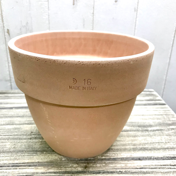イタリアンテラコッタ  素焼き鉢  直径16×H13.5cm 1枚目の画像