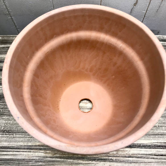 イタリアンテラコッタ  素焼き鉢  直径16×H13.5cm 4枚目の画像