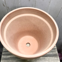 イタリアンテラコッタ  素焼き鉢  直径23cm高さ20.5cm 5枚目の画像