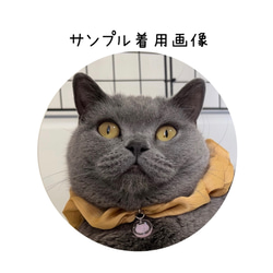 猫首輪　シュシュ首輪　【ゴールド】オリジナルチャーム付き　猫首輪　エレガント首輪 4枚目の画像