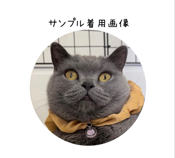 猫首輪　シュシュ首輪　【ゴールド】オリジナルチャーム付き　猫首輪　エレガント首輪 4枚目の画像