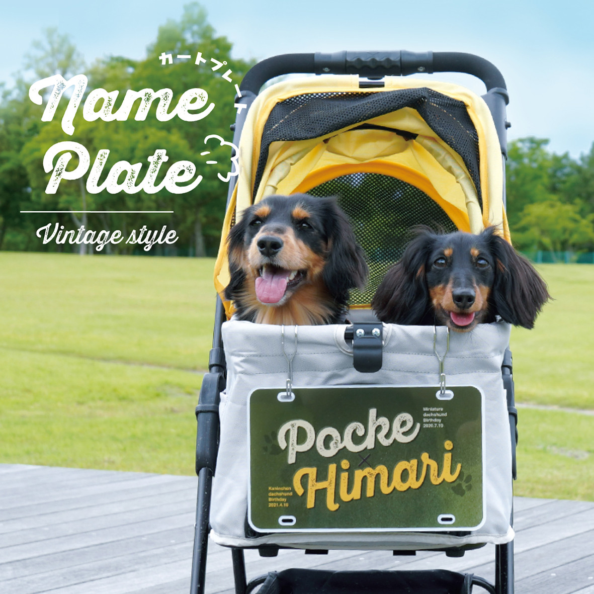 カートネームプレート〈ヴィンテージstyle〉★犬猫 うちの子 ★オーダーメイド ★取付フック付き ★名入れ