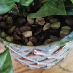 フェイクグリーンの鉢植え(ポトス) ／ブルーグレイ＆ブラウン陶器  ／人工観葉植物 5枚目の画像
