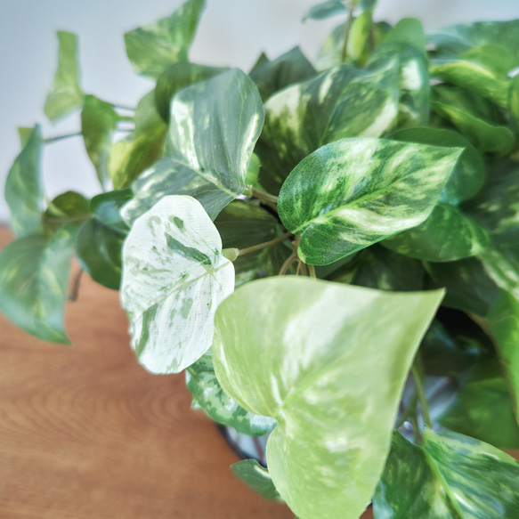 フェイクグリーンの鉢植え(ポトス) ／ブルーグレイ＆ブラウン陶器  ／人工観葉植物 4枚目の画像