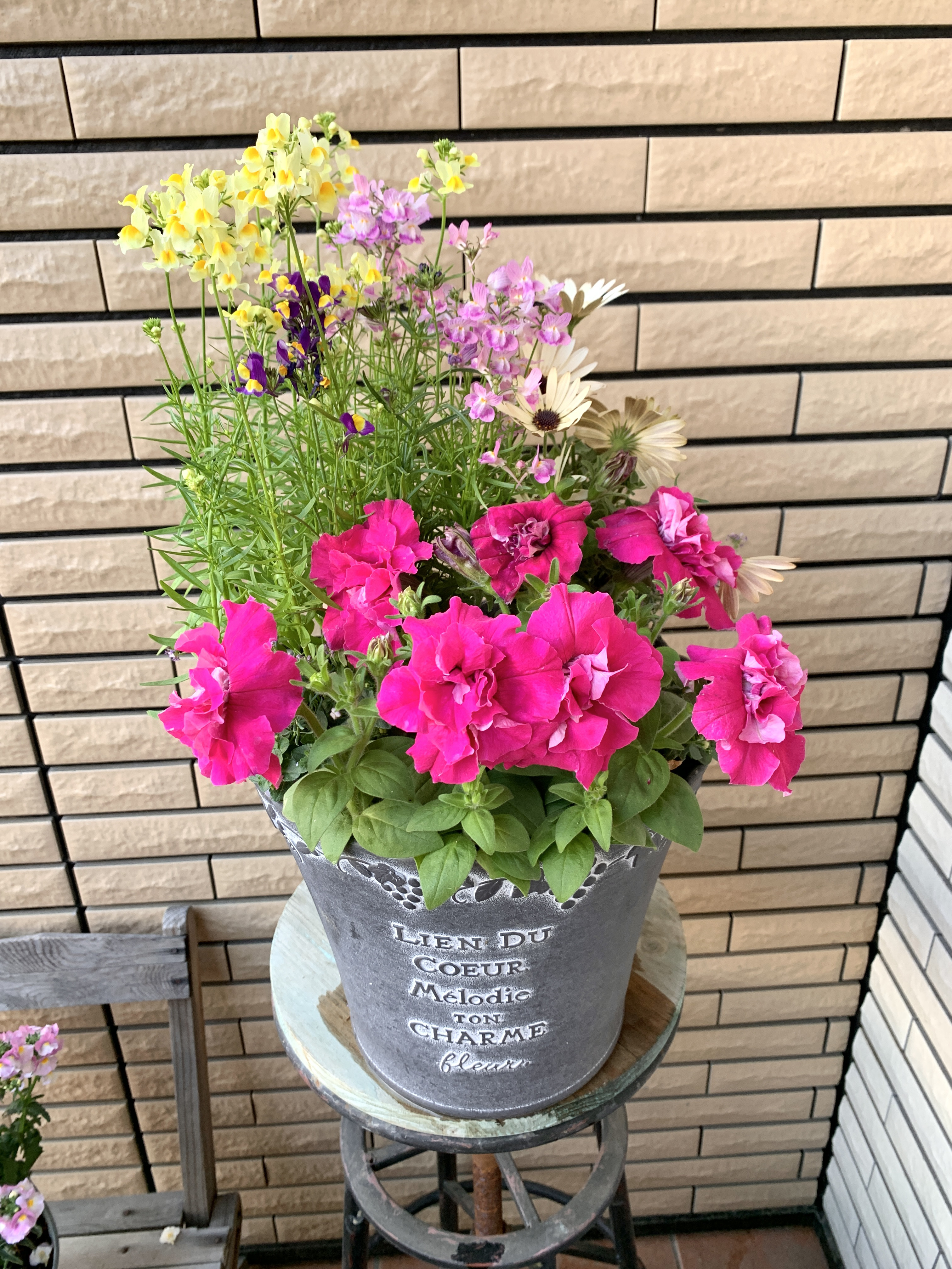 油絵　専用　ペチュニアが咲く寄せ植え　大キャンバス