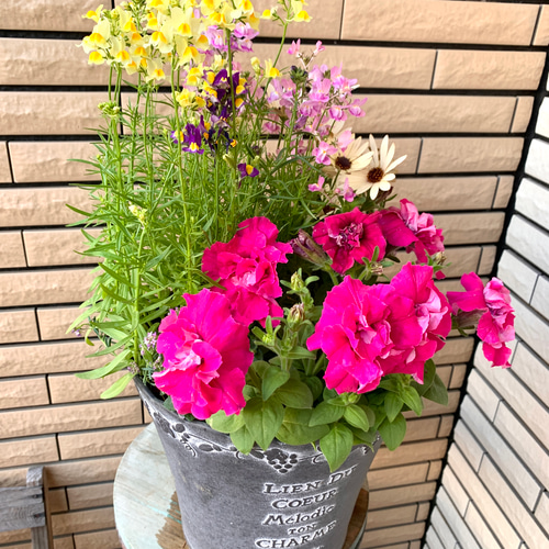 シックで豪華な鉢に八重咲きペチュニアの寄せ植え♪ アートフラワー