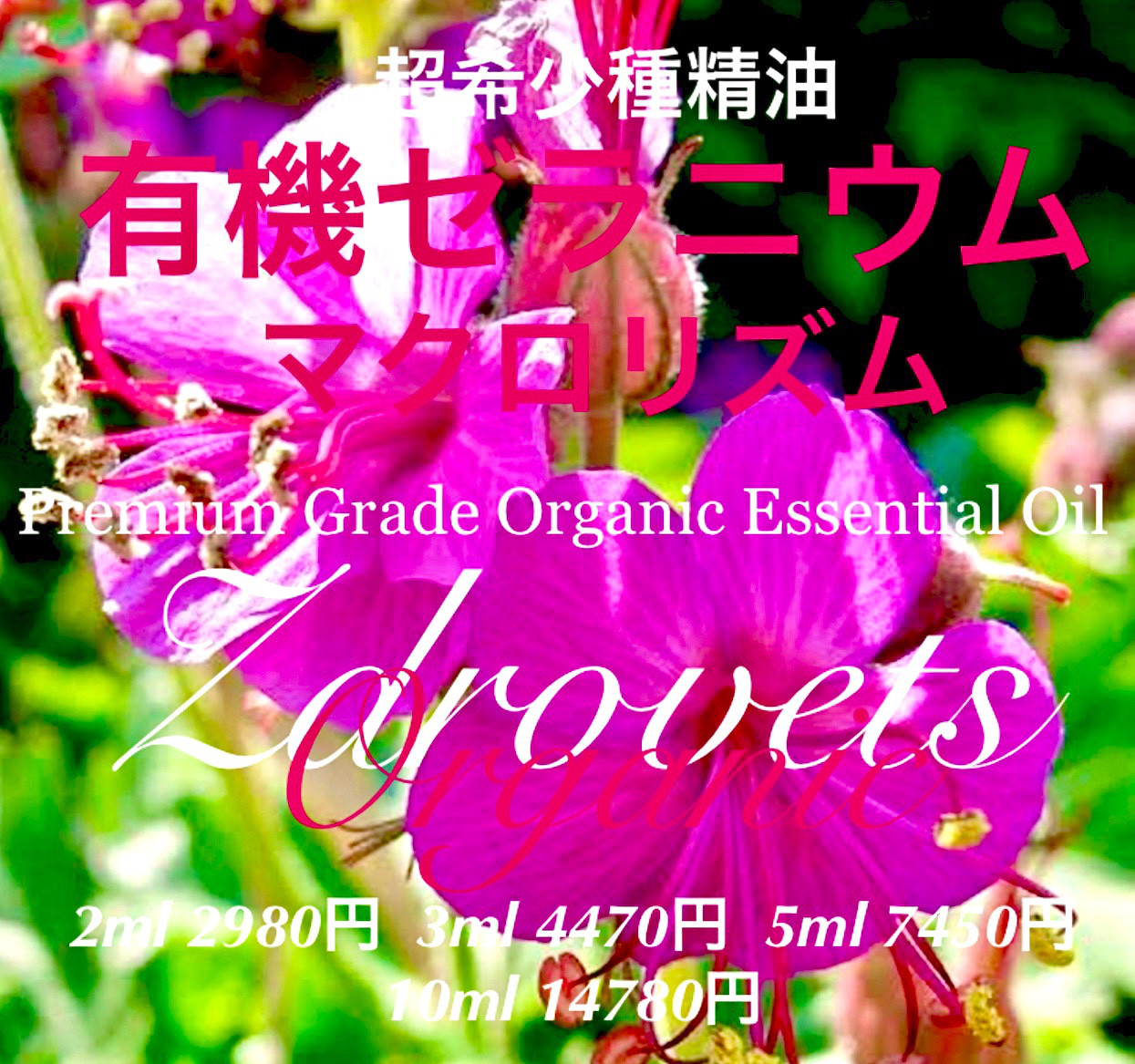 ☆限定数☆【超希少国内未販売精油】ゼラニウムマクロリズム精油10ml