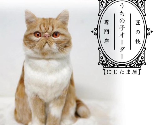 羊毛フェルト猫 バスケット風壁掛け ラグドール e-kinoko 羊毛フェルト インテリア雑貨 ディスプレイ 壁掛け 猫74 ネコ